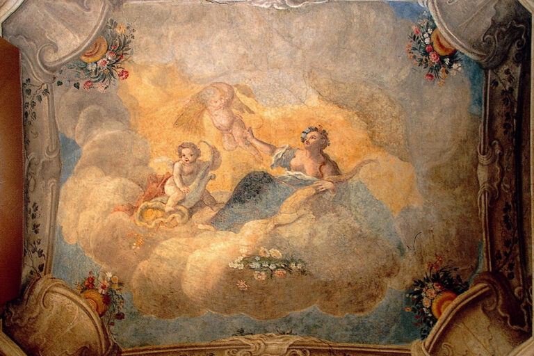 PALAZZO SALUZZO DI PAESANA