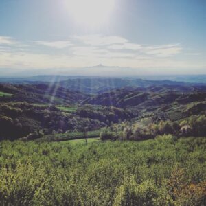 CASCINA LANGA